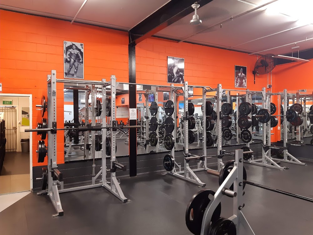 Iron Gym